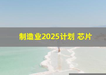 制造业2025计划 芯片